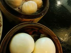 -添运来(茶园奥园广场店)