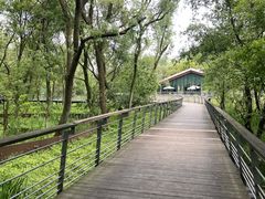 -西湖风景区-江洋畈生态公园