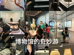 -广西壮族自治区博物馆