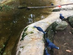 -清迈夜间动物园