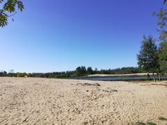 -东郊湿地公园