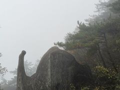 -天柱山风景区