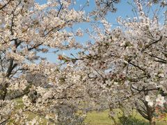 -苏州吴中太湖旅游区