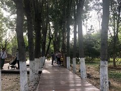 -回龙观体育文化公园