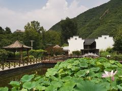 -荷塘味道(水长城店)