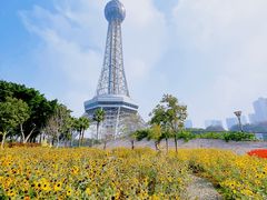 -文华公园(禅城区)
