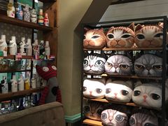 -猫咪博物馆(顶澳仔猫街店)