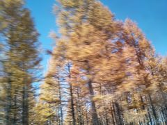 -塞罕坝国家级自然保护区