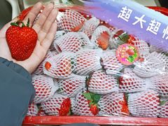 -双福水果批发市场