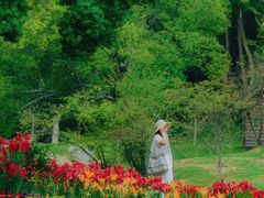 -无锡梅园公园