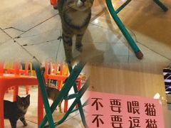 景观位-大档(荔湾店)