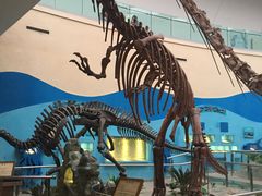 -陕西自然博物馆