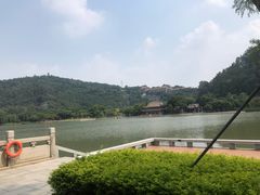 -顺峰山公园