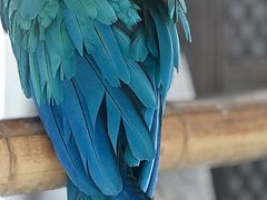 -青藏高原野生动物园