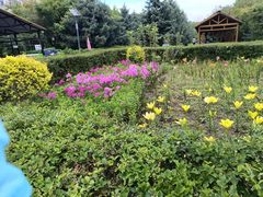 -白渔泡湿地公园