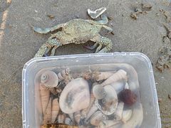 -汕头中海黄金海岸水上乐园