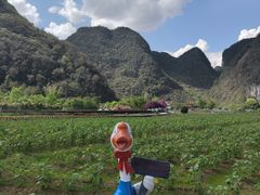 -靖西鹅泉风景区