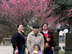 -瑞安圣井山景区