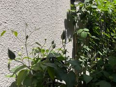 -About Bistro關於·泰式家庭料理