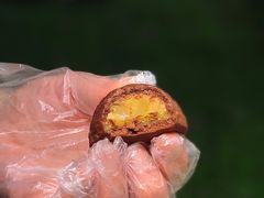 栗子烧-泸溪河桃酥(秦淮夫子庙一店)