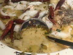 -宋小谨(惠安禹洲店)