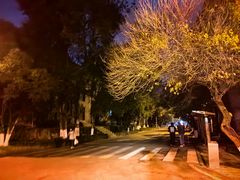 -四川农业大学(雅安校区)