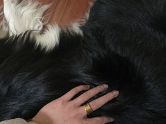 -申普宠物医院·眼科·心内科·影像科(普陀分院)