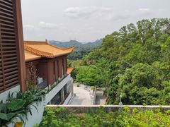 -深圳仙湖植物园