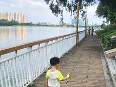 -仙湖旅游度假区