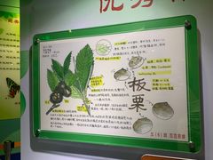 -上海昆虫博物馆