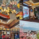 暖暖的屋里，看着樱花