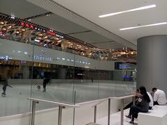 -TheRink大零溜冰场(IFS国金中心店)