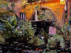 -园林美食城·本土农家菜(杨和镇店)