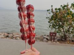 -深圳湾公园(南山区)