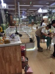 -小象动悟公园(龙湖亦庄天街店)