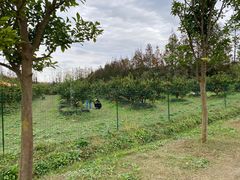 -前小桔亲子创意农场·草莓采摘·露营烧烤