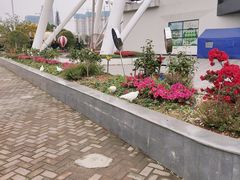 -南昌之星摩天轮