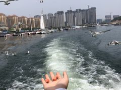 -大连圣亚海洋世界
