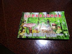 -江川野生菌火锅铜锅鱼(贵清火锅店)