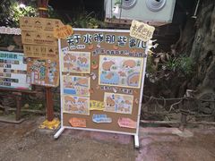 -正佳雨林生态植物园