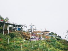 -美心红酒小镇游乐园