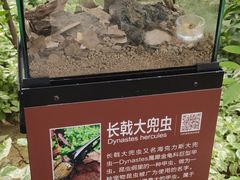 -南宫五洲植物乐园