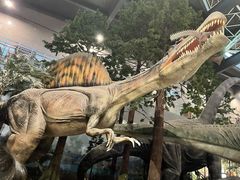 -湖南省地质博物馆