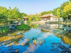 -顺峰山公园
