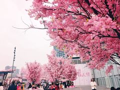 -首开·龙湖成都西宸天街
