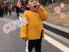 -枫香湖儿童公园