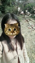 -茶发Salon·烫发染发理发