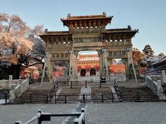 -北陵公园
