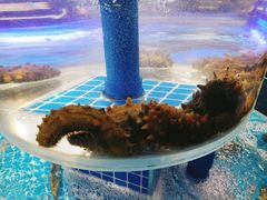 -海旺小海鲜大排档(冠亚星城店)
