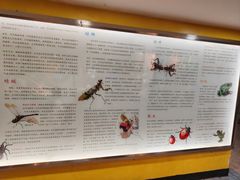 -上海大自然野生昆虫馆(东方明珠·爬宠昆虫探索中心)